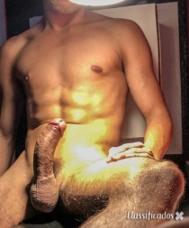 Novinho Leiteiro