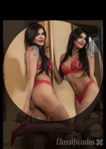 ☎️938254462 ❤️Loreen Transexual ☎️