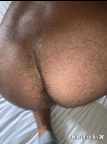 Quero Machos