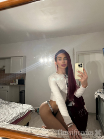 RUIVINHA SAFADA