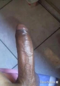 Trans Negra dotada 24cm Porto Areosa