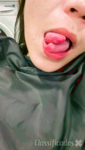 Padilha