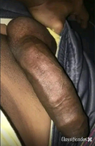 Brasileiro 23cm